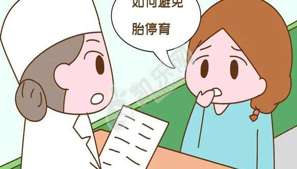 智特张欣：刘畊宏回应“学跳操怀孕”，不孕者可考虑美国试管婴儿